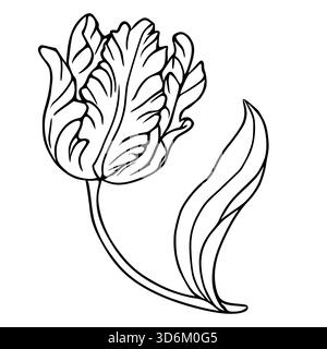 Elegante einzeilige Kunstvektor-Illustration einer blühenden Papageientulpe mit langem Stiel und Blättern, geeignet für botanische Designs. Stock Vektor