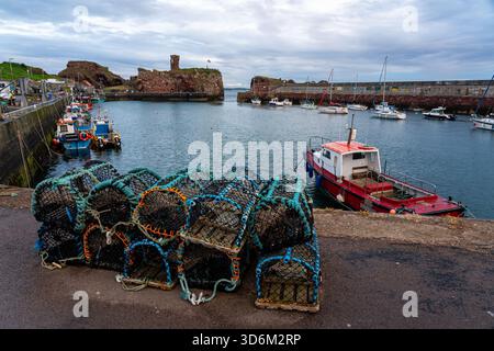 Hummertöpfe und Fischerboote am Hafen von Dunbar mit der Ruine von Dunbar Castle dahinter Stockfoto