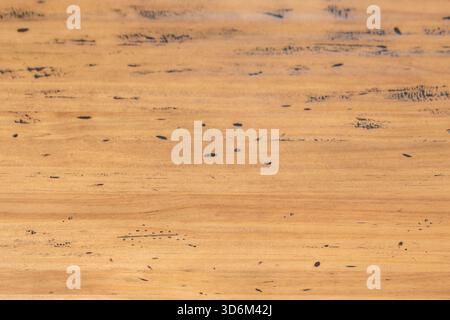 Teakholzdielen mit ihren natürlichen Ölen erzeugen einen seidigen Effekt, der Wasser abweist und gleichzeitig ihren charakteristischen goldenen Farbton behält. Stockfoto