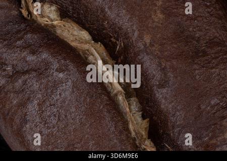 Extreme Nahaufnahme der gerösteten Kaffeebohne mit Naht, Fasern und reichhaltiger Oberflächenstruktur Stockfoto
