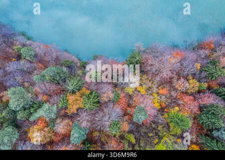 Aus der Vogelperspektive des farbenfrohen Herbstwaldes entlang eines türkisfarbenen Seeufers Stockfoto