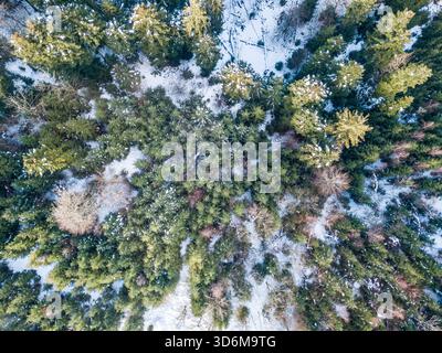 Blick von oben nach unten auf den schneebedeckten Nadelwald von Bantiger im Winter Stockfoto