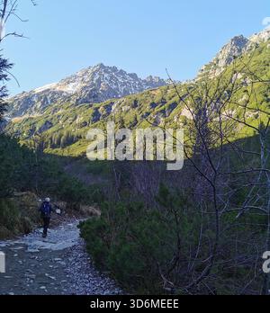 Siklawa (Wodospad Siklawy), Dolina Pięciu Stawów Polskich, Tatra, Polen – Wasserfall im Alpental zu Beginn des Winters. Stockfoto