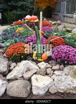 Farbenfrohe Herbstarrangements mit Kürbissen, Kürbissen, Kürbissen und Grünkohl, ausgestellt im Botanischen Garten Cluj-Napoca Stockfoto