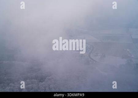 Deutschland, Nebel aus der Vogelperspektive über Feldern gekrümmte Straßenbäume und weiß schneebedeckte Naturlandschaft hoch über dem Waldwinterland Stockfoto