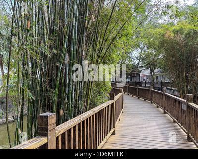 Zili Village. Eine hölzerne Promenade mit Geländer führt durch einen üppigen Bambuswald mit traditionellen Dorfgebäuden, die in der Ferne sichtbar sind, Showcas Stockfoto