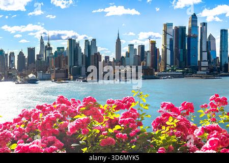 Blick auf die Skyline von New York City mit Rosenblumen vom Hudson River, Vereinigte Staaten von Amerika Stockfoto
