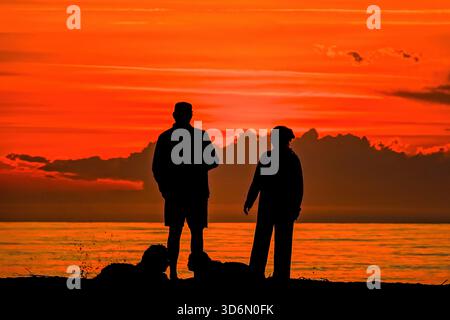 Isle Of Palms, Usa. November 2025. Ein Paar mit ihren Hunden, umgeben vom Sonnenaufgang über dem Atlantik am Front Beach, 21. November 2025 in Isle of Palms, South Carolina. Quelle: Richard Ellis/Richard Ellis/Alamy Live News Stockfoto