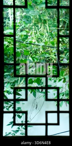 Traditioneller chinesischer Fensterrahmen mit üppigem Grün in einem klassischen Garten Stockfoto
