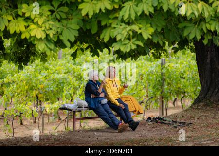 Zwei Frauen sitzen auf einer Bank und trinken Wein Stockfoto