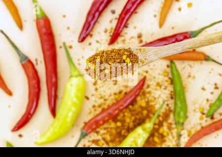 Nahaufnahme eines Holzlöffels gefüllt mit zerstoßenen Chiliflocken, umgeben von frischen roten, grünen, gelben und orangen heißen Chilischoten, die auf einem weißen gestreut sind Stockfoto