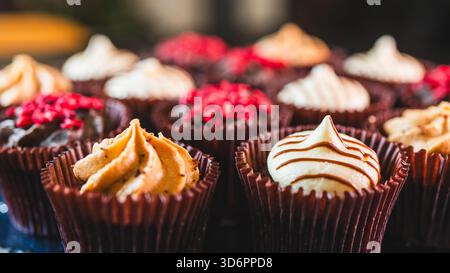 Teller voller wunderschöner, farbenfroher Schokoladen-Mini-Cupcakes mit lebendigem Zuckerguss. Perfekt für Partys, Feiern und Desserttische. Süß und fein Stockfoto