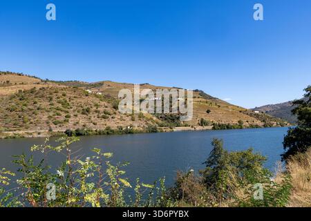 Tal und Fluss Douro in Portugal, Weinberge und Weingüter entlang des Flusses Douro, Portugal, Europa, 2025 Stockfoto