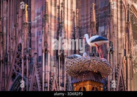 Gemütlicher Chalet-Stand wunderschön mit Storchennest und Tannenzweigen dekoriert, eine magische Szene auf dem Straßburger Weihnachtsmarkt in Frankreich Stockfoto