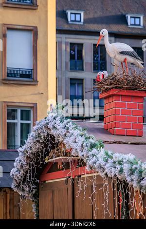 Gemütlicher Chalet-Stand wunderschön mit Storchennest und Tannenzweigen dekoriert, eine magische Szene auf dem Straßburger Weihnachtsmarkt in Frankreich Stockfoto