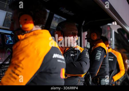 Paradies, Etats Unis. November 2025. BROWN Zak (usa), CEO von McLaren Racing, Porträt während des Formel-1-Grand Prix von Las Vegas 2025, 22. Runde der FIA Formel-1-Weltmeisterschaft 2025 vom 21. Bis 23. November 2025 auf dem Las Vegas Strip Circuit in Paradise, Nevada, USA - Foto Eric Alonso/DPPI Credit: DPPI Media/Alamy Live News Stockfoto