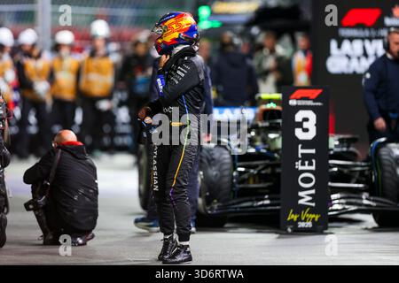 Paradies, Etats Unis. November 2025. SAINZ Carlos (Spa), Williams Racing FW47, Porträt während des Formel-1-Grand Prix von Las Vegas 2025, 22. Runde der FIA Formel-1-Weltmeisterschaft 2025 vom 21. Bis 23. November 2025 auf dem Las Vegas Strip Circuit in Paradise, Nevada, USA - Foto Joao Filipe/DPPI Credit: DPPI Media/Alamy Live News Stockfoto