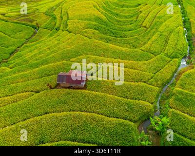 Wunderschöner Blick auf indonesien Panorama Landschaft Reisfelder mit Schönheitsfarben und natürlichem Tageslicht Stockfoto
