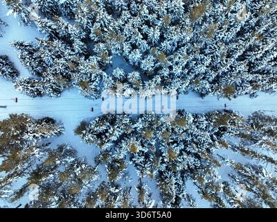 Perfekt symmetrische Ansicht von oben nach unten auf einen schmalen, schneebedeckten Pfad oder eine Skipiste, die eine gerade Linie durch dichten, schneebedeckten Wald auf einem schneidet Stockfoto