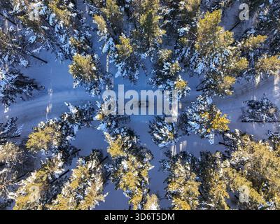 Karakol, Kirgisistan - 13. Dezember 2024: Perfekt symmetrischer Blick auf einen Volkswagen SUV auf einer schneebedeckten Straße, dicht umrahmt von Gold Stockfoto