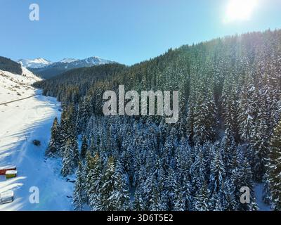 Blick aus der Vogelperspektive auf einen dichten, schneebedeckten Nadelwald, der einen Berghang bedeckt, mit hellem Sonnenlicht und einem klaren blauen Himmel über dem Himmel Stockfoto