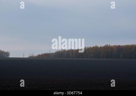 Landschaft mit dunklem gepflügtem Feld, das auf einen Herbstwaldgürtel unter einem hellblauen Himmel trifft. Netzmasten und Stromleitungen sind am Horizont sichtbar. Konzeptuelles Foto für Landwirtschaft, Energie und Infrastruktur. Stockfoto