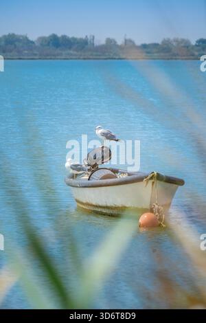 Zwei Möwen ruhen auf einem kleinen, alten Fischerboot, das im ruhigen türkisfarbenen Wasser einer Küstenlagune vor Anker liegt, mit Pflanzen im Vordergrund Stockfoto