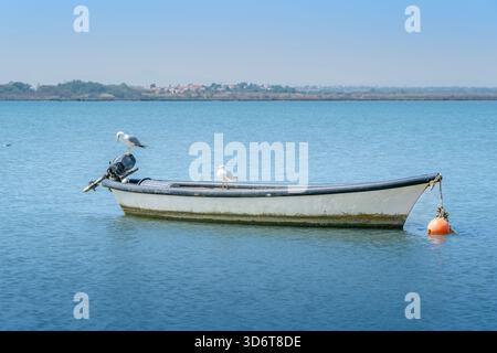 Zwei Möwen ruhen auf einem kleinen, weißen Fischerboot, das mit einer orangen Boje im ruhigen blauen Wasser einer Lagune unter klarem Himmel verankert ist Stockfoto
