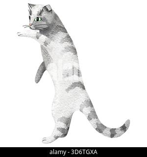 Eine graue Tabbykatze, die auf den Hinterbeinen steht und spielt, handgezeichnet in Aquarell. Eine britische oder schottische Faltkatze. Eine einfache Tierillustration. Stockfoto