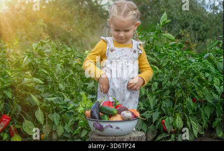 Die Hand eines Kindes greift nach einer Schüssel mit frisch geerntetem Bio-Gemüse im Garten Stockfoto