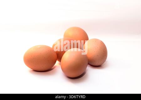 Fünf frische braune Eier gruppiert auf hellweißem Studiohintergrund, gesunde Proteinzutat für Frühstück, Diät und Hausmannskost. Stockfoto