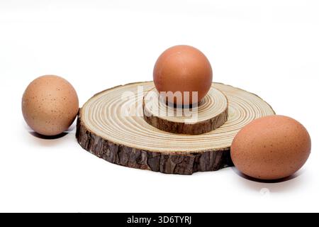 Drei braune Hühnereier auf kreisförmigen Holzscheiben auf weißem Studiohintergrund, minimales Lebensmittelkonzept und natürliche Zutat. Stockfoto