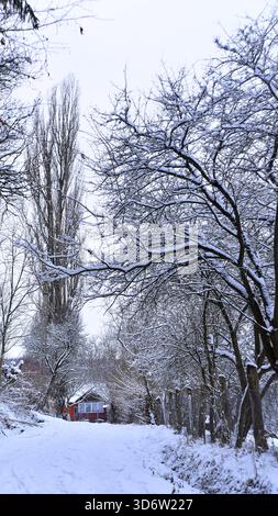 Wunderschöne Weihnachtslandschaft mit schneebedeckten Bäumen und einem kleinen roten Haus zwischen den hohen Bäumen. Stockfoto