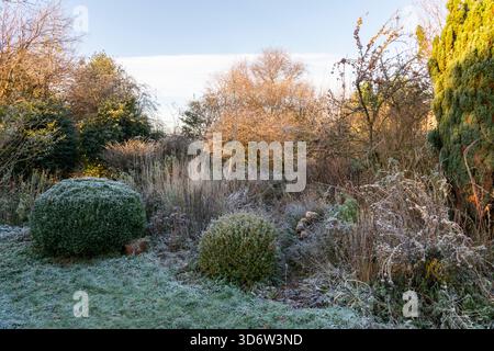 Englischer Landgarten mit gemischter Bepflanzung an einem hellen und frostigen Wintermorgen Stockfoto