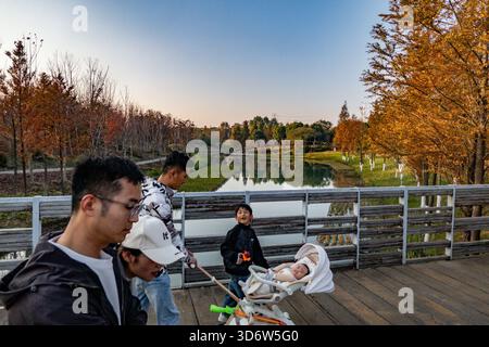 Changzhou, China. November 2025. Eine Gruppe von Menschen, die auf einer Holzbrücke an einem See mit Winterbäumen gesehen werden. Quelle: SOPA Images Limited/Alamy Live News Stockfoto
