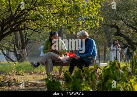 Changzhou, China. November 2025. Frauen unterhalten sich auf einer Bank unter Bäumen im ökologischen Park. Quelle: SOPA Images Limited/Alamy Live News Stockfoto
