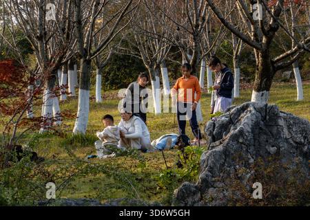 Changzhou, China. November 2025. Eine Gruppe von Menschen versammelt sich auf dem Gras zwischen Bäumen im Park. Quelle: SOPA Images Limited/Alamy Live News Stockfoto