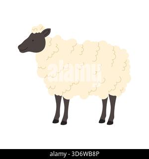 Karikatur irisches Schaf mit flauschiger Wolle lokalisiert auf weißem Hintergrund für Bauernhof und Irland Themen Vektorillustration Stock Vektor