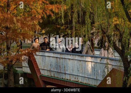 Changzhou, China. November 2025. Eine Gruppe von Menschen läuft auf einer Brücke, umgeben von Winterbäumen und Weiden. (Foto: Sheldon Cooper/SOPA Images/SIPA USA) Credit: SIPA USA/Alamy Live News Stockfoto