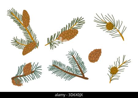 Cartoon-Kiefernzweig, Tannenzweig und Fichte mit Kegeln isoliert auf weißem Hintergrund. Vektor-Illustration von immergrünen Baumpflanzenteilen, Pineco Stock Vektor