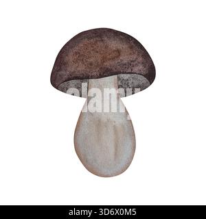 Stachelpilz in Wasserfarben. Waldweißer Pilz mit brauner Kappe isoliert auf weißem Hintergrund. Stockfoto