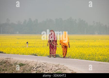 Zwei ländliche Frauen spazieren auf einem ruhigen Dorfweg in Ullapara, Rajshahi, umgeben vom Charme und der Einfachheit des ländlichen Lebens. Stockfoto