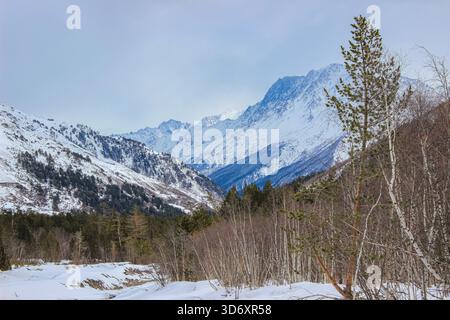 Schneebedeckte Berggipfel ragen unter dem Winterhimmel, umgeben von Bäumen und unberührter Natur, und schaffen eine faszinierende Winterlandschaft Stockfoto