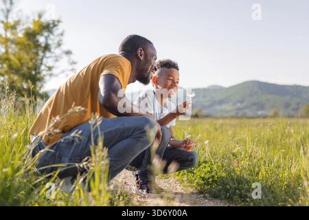 Ein lächelnder afroamerikanischer Vater und sein Sohn genießen eine sonnige Natur, machen Wünsche und blasen Löwenzahn. Stockfoto