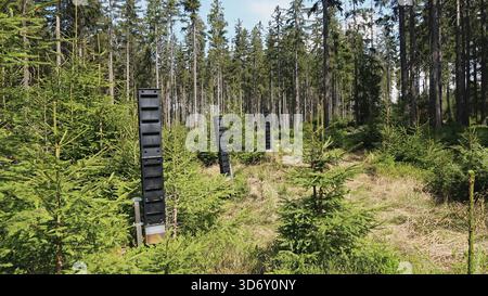 Pheromonalfalle, Rindenkäfer-Schutz im Wald Stockfoto