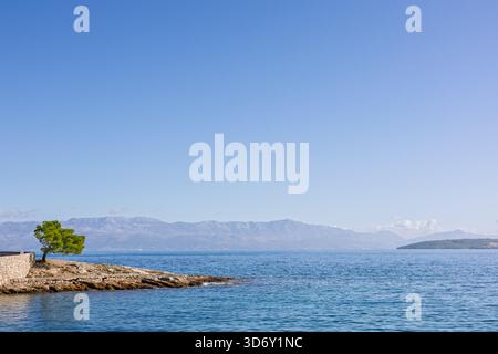 Eine ruhige Küstenlandschaft mit einer felsigen Küste, einem einsamen grünen Baum und einem weitläufigen blauen Meer mit weit entfernten Bergketten unter klarem Himmel. Stockfoto
