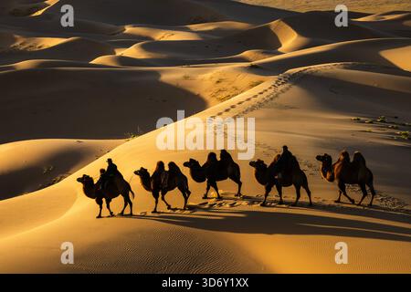 Kamelzug in der Wüste Gobi in Khongor „Singing Sand Dunes“ bei Sonnenaufgang in der Mongolei Stockfoto