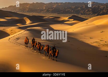 Kamelzug in der Wüste Gobi in Khongor „Singing Sand Dunes“ bei Sonnenaufgang in der Mongolei Stockfoto