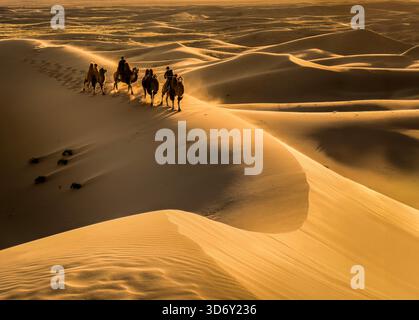 Kamelzug in der Wüste Gobi in Khongor „Singing Sand Dunes“ bei Sonnenaufgang in der Mongolei Stockfoto