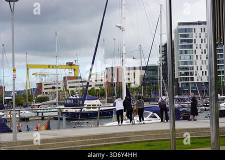 Ein Blick über das Abercorn Basin im Titanic Quarter, Belfast, mit Andockyachten, den berühmten gelben Samson- und Goliath-Kranen von Harland & Wolff. Stockfoto